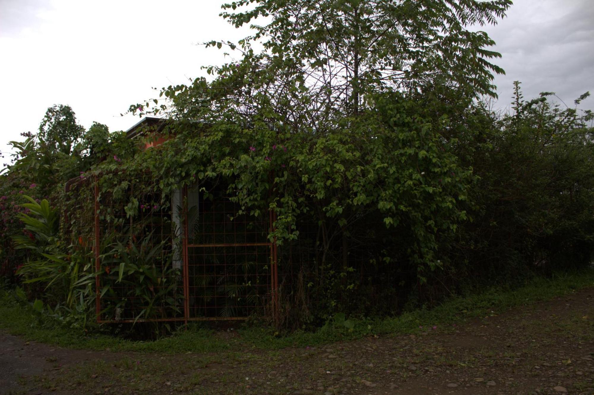 Home La Fortuna Екстер'єр фото